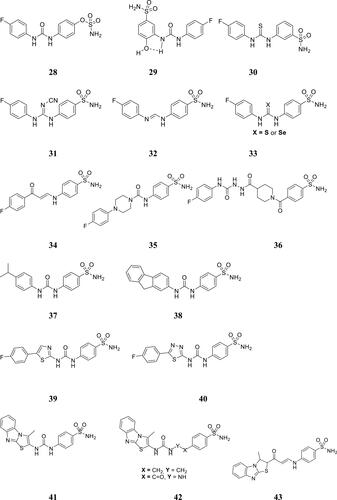 Figure 8 Sulfonamides 28–43 designed as anti-cancer derivatives using SLC-0111 as lead molecule.
