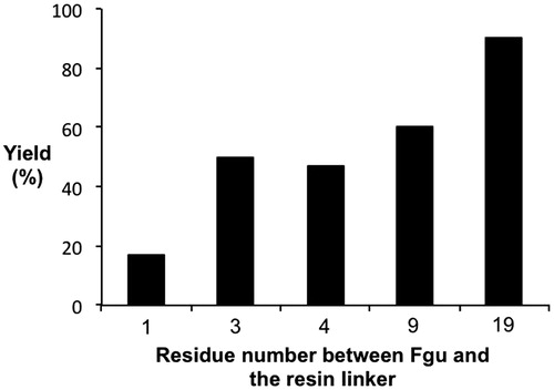 Figure 7. Plot of the recovered yield of crude peptide in the cleavage step as a function of the distance of the [60]fullerene-based residue (Fgu: fulleropyrrolidino-glutamic acid, see Figure 6) from the resin. Data from referenceCitation34.