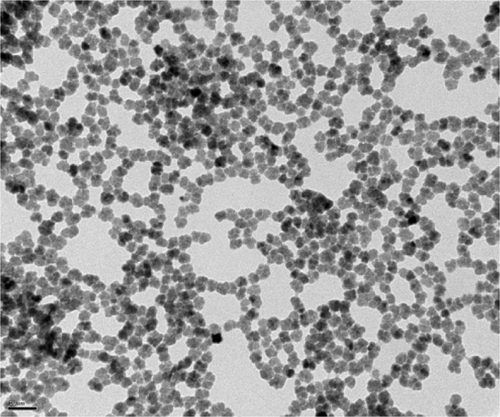 Figure S3 Transmission electron micrograph of magnetite dispersion (image obtained courtesy of a collaboration with the Laboratoire de Chimie des Polymères Organiques Bordeaux in the framework of the European Project NANOTHER, 7wp). Scale bar, 50 nm.