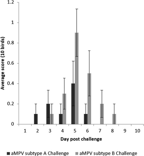 Figure 1. Clinical sign scores for unvaccinated-challenged groups post challenge. Data are shown as an average score of 10 birds ± standard error margins per sampling point. No clinical signs were detected in any other group.
