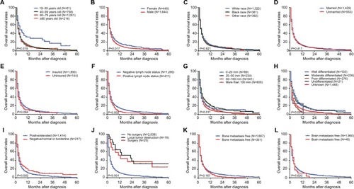 Figure 3 Kaplan–Meier analysis of overall survival in hepatocellular carcinoma patients with initial lung metastasis stratified by (A) age at diagnosis, (B) gender, (C) race, (D) marital status at diagnosis, (E) insurance status at diagnosis, (F) lymph node status, (G) maximum primary tumor size, (H) primary tumor differential grade, (I) alpha-fetoprotein level, (J) surgery for primary tumor, (K) bone metastasis, and (L) brain metastasis.