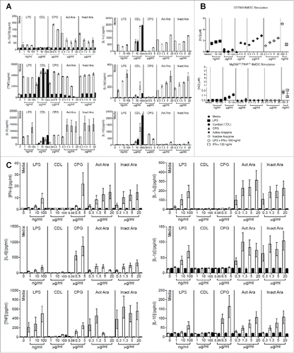 Figure 4. Myd88 and TRIF pathways are involved in the activation of dendritic cells by active and inactive arazyme. GM-CSF-treated bone marrow-derived dendritic cells (BMDCs) from C57BL/6 (white bars) or double MyD88−/−/TRIF−/− knockout (black bars) mice were incubated in V bottom plates (1 × 105 cells/well) for stimulation with indicated concentrations of active or heat-inactivated arazyme, lipopolysaccharide (LPS), Curdlan (CDL), or CPG for 24 h. IL-12p70, IL-1α, TNF-α, IL-1β, IL-6, and IL-10 (A) and NO (B) were quantified in the culture supernatants using the cytometric bead array (CBA) and the Griess method, respectively. (C) CD11c+-enriched splenocytes from either C57BL/6 (white bars) or MyD88−/−/TRIF−/− (black bars) mice were incubated in V bottom plates (1 × 105 cells/well) for stimulation with indicated concentrations of active or heat-inactivated arazyme, LPS, CDL, or CPG for 24 h. IFNγ, IL-1α, IL-6, IL-1β, TNF-α, and IL-10 were quantified in the culture supernatants using CBA. Results represent data from triplicate samples of three (C57BL/6) or two (MyD88−/−/TRIF−/−) individually analyzed mice. Media, unstimulated control.