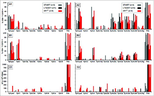 Figure 5. IFNγ and T-cell proliferation responses to 9–13mers of FIV peptides Fp9–3, Fp14–3, and Fp14–4. Six 9–12mer peptides for the Fp9 pool (A1, B1, C1) and 7 9–13mer peptides for the Fp14 pool (A2, B2, C2) described in Table 3 were tested for their ability to induce CD8+ T-cell proliferation (A), CD4+ T-cell proliferation (B), and IFNγ production (C) and compared to results with the Fp9 and Fp14 peptide pools. Thirteen–15mer peptides Fp9–3, Fp14–3, and Fp14–4; and mitogen (PHA) were included as controls. A total of 9 HIV+ responders to the Fp9 pool (A1, B1, C1) and 10 HIV+ responders to the Fp14 pool (A2, B2, C2) were tested up to 4 y after the beginning of the study. Two to 4 of the responders were lost to follow up. Their proliferation and IFNγ results to the 13–15mer peptides Fp9–3, Fp14–3, and Fp14–4, and are denoted with an (*) for each individual missing.