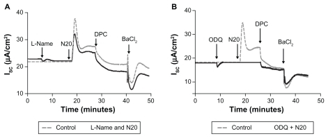 Figure 6 Effect of N20 on cGMP-mediated transepithelial anion secretion in Calu-3 cells. A) Prestimulation of cells with S-nitrosoglutathione 100 μM both sides resulted in a significant decrease in N20-induced responses. *P < 0.05 (n = 3, one-way analysis of variance). B) Pretreatment of cells with NG-nitro-l-arginine methyl ester 1 mM both sides did not inhibit the effects of N20 10 μg/mL apical on short-circuit current activation. C) Pretreatment of cells with 1H-[1, 2, 4] oxadiazolol-[4, 3-a] quinoxalin-1-one 10 μM both sides inhibited the effects of N20 on short-circuit current. As shown in B) and C), short-circuit current was significantly reduced by the application of diphenylamine-2-carboxylate 1 mM apical and BaCl2 5 mM basolateral.