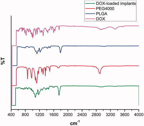 Figure 4. FTIR spectra of DOX, PLGA, PEG 4000 and DOX-loaded implants.