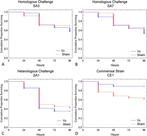 Figure 4. When challenged with pathogenic strains SA3 or SA7, no differences in embryo survival were observed in eggs from vaccinated (Vx) or sham inoculated (Sham) hens. However, significantly increased survival (P = 0.0024) was observed in embryos from Vx hens infected with commensal strain CE1.