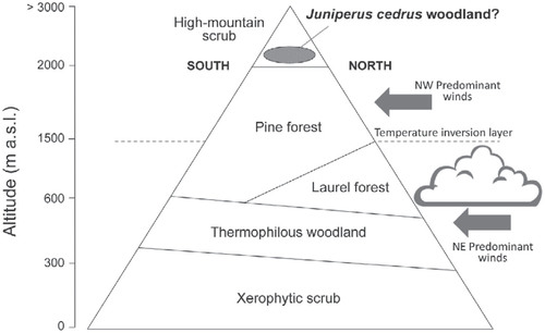 FIGURE 1. Vegetation belts of the Canary Islands (including the proposed Juniperus cedrus woodland), using Tenerife as model.