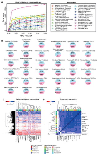 Figure 2. Gene expression changes induced by HDAC inhibition in different human cell types. Differential gene expression for independent human microarray HDACi datasets are summarized. (a) Line plot showing the total number of genes differentially expressed at FDR P values between 0 and 0.05. (b) Pie chart summary of the number of differentially expressed genes (FDR P value <0.05). (c) Heatmap of gene expression changes conferred by HDAC inhibition in human cell types. Each column represents an independent microarray experiment. Blue represents gene activation while red indicates suppression. The intensity of the color correlates with the strength of the P value for any given gene. Columns were normalized by Z-score normalization. (d) Spearman's rank correlation (ρ) of gene expression changes conferred by HDAC inhibitors in different human cell types. Positive correlations are shown in blue while negative correlations are shown in red. A histogram of values and a color key are provided for each heatmap.