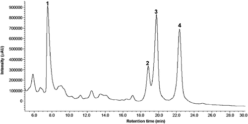 Figure 1.  Chromatogram of one indo alkaloid-enriched bioactive extract. Peaks identified with commercial patterns were: peak 2 (catharanthine) and peak 3 (ajmalicine). Identification based on both absorbance spectrum and retention time gave peak 1 (putative lochnericine) and peak 4 (putative tabersonine).