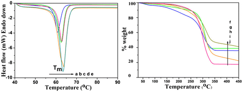Figure 6 DSC thermogram a–e and TGA thermogram f–j of PCL/Fe3O4–AR nanocomposites synthesized at [M/I] of a f 10, b,g 50, c,h 100, d,i 200 and e,j 400