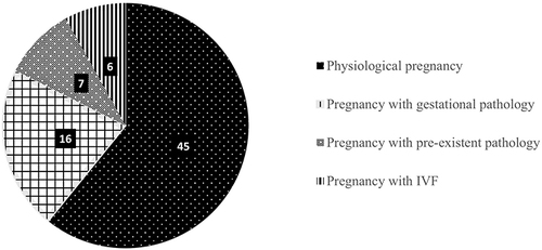 Figure 4 Number of articles evaluating the quality of life in pregnancy by the category of obstetrics from 18/06/2011 to 17/06/2021.