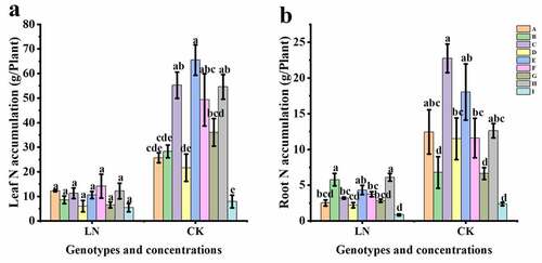 Figure 6. Distribution characteristics of N in nine genotypes under different nitrogen supply levels. (a) N content in leaves; (b) N content in roots.