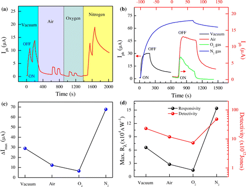 Figure 4. Photocurrent response in various environments. (a) Time-dependent photocurrent response of the device in different environments at V ds  = 1 V and V g  = 0 V. DUV light was first turned on for 60 s and then turned off for 60 s. (b) Photocurrent saturation of the FL-MoS2 FET in vacuum and N2 gas (left axis and bottom axis), and in air and O2 gas (right axis and top axis) at (V ds = 1 V and V g = 0 V). (c) Saturated photocurrent values in vacuum, N2 gas, air, and O2 gas. (d) Modulation of photocurrent response parameters; maximum responsivity (left axis) and detectivity (right axis) in different environments.