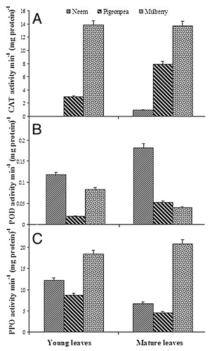 Figure 3. Changes in activities of (A) CAT, (B) POD and (C) PPO in young and mature leaves of neem, pigeonpea and mulberry.
