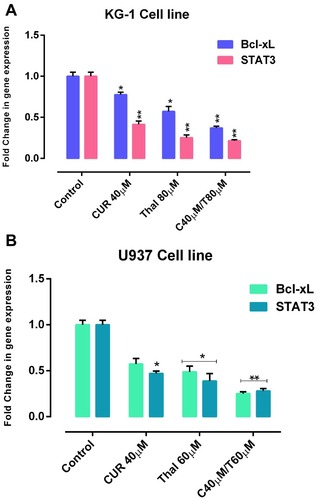 Figure 7 Examination of gene expression. (A) The effects of CUR and THAL on the mRNA expression level of STAT3 and BCL-XL in KG-1. (B) The effects of CUR and THAL on the mRNA expression level of STAT3 and BCL-XL in U937. Cells were determined by Real-Time PCR analysis. Values were normalized by the expression of the housekeeping gene (HPRT). Data are mean ± SE of three independent experiments. Statistical signiﬁcance was deﬁned at *P < 0.05 and **P < 0.01 compared to corresponding untreated controls.