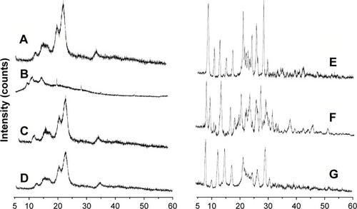 Figure 10 XRD of MCC raw MCC (A), SCS (B), the physical mixture of MCC and SCS (C), NCCS (D), coarse BCA (E), the physical mixture of NCCS and BCA (F), and BCA-NP/NCCS (G).Abbreviations: XRD, X-ray diffraction; MCC, microcrystalline cellulose; SCS, sodium carboxymethyl starch; NCCS, nanocrystalline cellulose–sodium carboxymethyl starch; BCA, baicalin; BCA-NP, BCA nanosuspension particle.