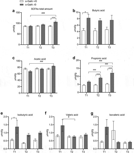 Figure 7. Alterations in fecal short-chain fatty acid levels in α-Gal A (-/0) mice. experiments were carried out on 8–10-week-old (T1), 16–20-week-old (T2), and 12-month-old (T3) α-Gal A (-/0) mice (gray) and α-Gal A (+/0) (white). Short-chain fatty acid (SCFA) levels were measured in µmol/g. (a) total SCFAs; (b) butyric acid; (c) acetic acid; (d) propionic acid; (e) iso-butyric acid; (f) valeric acid; (g) isovaleric acid. Data are shown as means ± SEM. Two-way ANOVA followed by Tukey’s post hoc test was applied (n = 10, each group). *p < .05; **p < .002; ***p < .001 VS α-Gal A +/0; #p < .05 ##p < .002; ###p < .001 VS the same genotype.