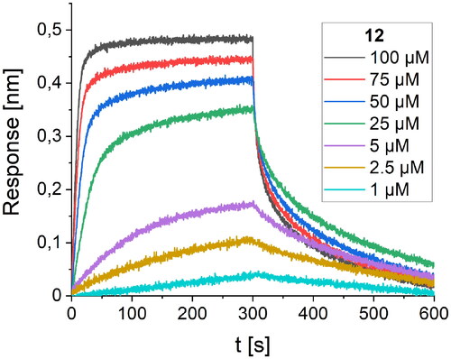 Figure 6. BLI-based screening of the binding affinity properties of peptide 12 towards RBD. Association and dissociation steps are given for the different concentrations of peptide 12, ranging from 1 to 100 µM.