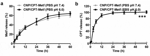 Figure 2. Drug release behavior of CNP/CPT-Metf in different medium investigated by the dialysis experiments. Release of Metf (a) and CPT (b) from the CNP/CPT-Metf in different release medium. The PBS with pH of 6.0 was represented as the pH in tumor microenvironment while the pH of 7.4 was represented as the pH in physiologic condition. ***P < 0.001 significantly different from the group of CNP/CPT-Metf (PBS pH 7.4).