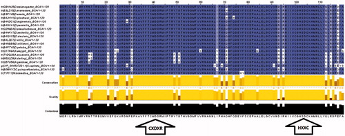 Figure 1. Multiple sequence alignment of β-CA protein sequences from defined Dipteran species. First highly conserved sequence (CXDXR) and second highly conserved sequence (HXXC) for β-CAs from Dipteran species are indicated with two arrows at the bottom of the figure.