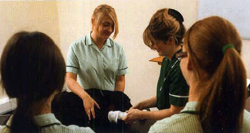 Registered veterinary nurse demonstrating bandaging to students