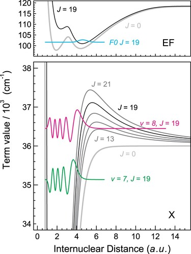 Figure 4. Potential energy curves for the X1Σg+ ground state and the EF1Σg+ excited states, drawn for the J = 0 rotationless energies and for higher odd J values, including the centrifugal energy. Also wave functions for a bound X(7,19) and quasi-bound X(8,19)∗ level are displayed. The wave function for the F0(J = 19) excited level (upper panel) indicates overlap at large internuclear separation (4–5 a.u.).