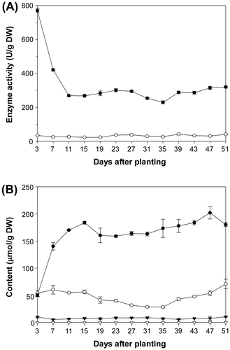 Fig. 2. Changes in the TCE activities and Pos/Pa content in roots during cultivation.