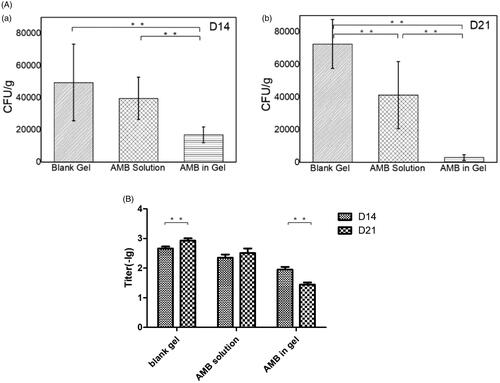 Figure 5. Therapeutic effect in rats. (a) The count of CSF on the 14th day after modeling. (b) The count of cerebrospinal fluid culture on the 21st day after modeling. (B) Latex agglutination test of CSF on the 14th and 21st days after modeling. **p < .05; (n = 6).