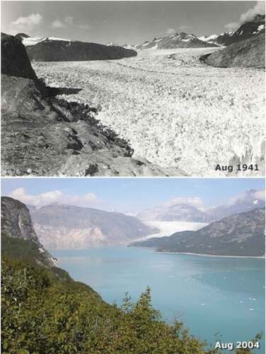 Figure 2. Dramatic retreat between 1941 and 2004 of the Muir Glacier in Glacier Bay National Park and Preserve, Alaska. This pattern of glacier retreat has now been observed across the world [NSIDC Photo Archive].