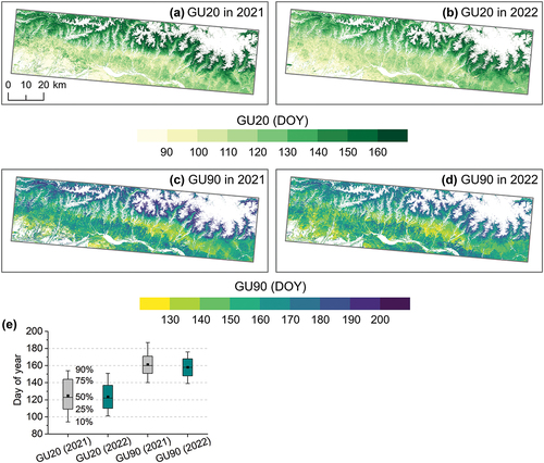 Figure 2. Spatial patterns of GU20 and GU90. (a) GU20 in 2021, (b) GU20 in 2022, (c) GU90 in 2021, (d) GU90 in 2022, and (e) box chart of the LSP metrics. The black square in the box chart represents the mean value.