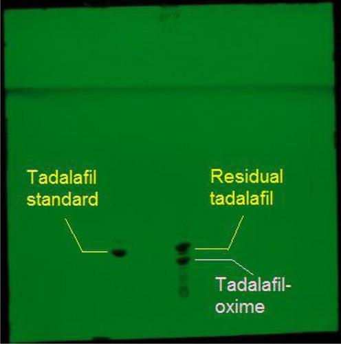Figure 4. TLC chromatogram for the isolation of tadalafil-oxime the oxime product under the reference of tadalafil standard.