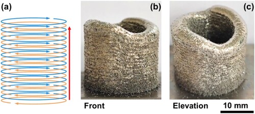 Figure 10. Build features of the hollow cylinder using dual-start unidirectional clockwise scanning strategy. (a) Virtual paths of the CNC machine. (b) and (c) Printed results of the 40-layer build.