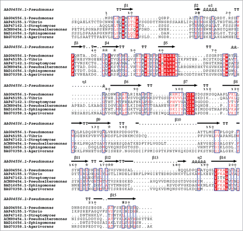 Figure 3. Multiple alignment of amino acid sequences of alginate lyases of PL 7 family. The conserved residues were overlaid with red and 3 highly conserved regions-(R/E) (S/T/N) EL, Q (I/V) H, YFKAG (V/I) YNQ were boxed in blue.