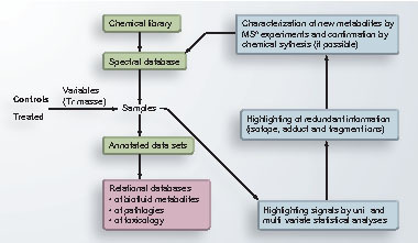 Figure 3. Complementary strategies for metabolite database building.