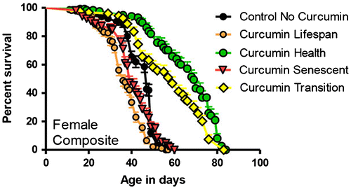 Figure 1. Survival curves of females fed with curcumin at the indicated phases of the lifespan. This is a composite graph of female longevities following curcumin feeding during the entire lifespan (N = 147, median lifespan = 36 days) or the untreated control (N = 230, median = 47) or in just one of the three different adult life stages. Comparing control to health (N = 126, median = 69, X2 = 127.7, and p < 0.0001); to transition (N = 126, median = 59, X2 = 59.4, and p < 0.0001); to senescent (N = 125, median = 39, X2 = 7.567, and p = 0.0059). Both sexes show the same stage-specific response in that only pre-midlife feedings (<42 days) increased lifespan relative to controls (from Soh et al. Citation2013).