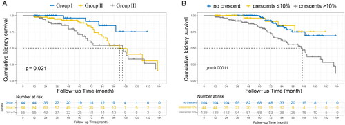 Figure 3. Kaplan–Meier curves for a composite of ≥40% decline in initial eGFR, end-stage kidney disease, and death in IgA nephropathy patients presenting crescents less than 50% of glomeruli (a), and in patients comparing the study group and the control group (B). Group I, crescents ≤10% of glomeruli; Group II, 10%<crescents ≤ 25% of glomeruli; Group III, crescents > 25% of glomeruli.