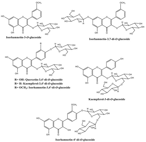 Figure 6. Chemical structure of flavonol glycosides in F6 fraction from D. harra flowers. Isorhamnetin-3-O-glucoside; isorhamnetin-3,7-di-O-glucoside; quercetin-3,4′-di-O-glucoside; kaempferol-3,4′-di-O-glucoside; kaempferol-3-di-O-glucoside; isorhamnetin-4′-di-O-glucoside and isorhamnetin-3,4′-di-O-glucoside.