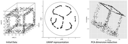 Figure 3. Different interpretation of UMAP representations and PCA analysis. UMAP tries to identify the structure of the data (in this case the wireframe of a cube) and to represent it in lower dimensional (2D) space. PCA finds synthetic variables as linear combination of the original variables (in our case the x,y,z position of points on a cube) to minimize the variance of the data, ignoring the structure of the dataset.