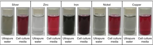 Figure 2 Photograph of the nanoparticle samples used in the study.Notes: The nanoparticles were suspended in either ultrapure water or Dulbecco’s Modified Eagle’s Medium. The concentration of the particles in the aqueous suspension was 100 mg/L. The photograph was taken immediately after sonication.