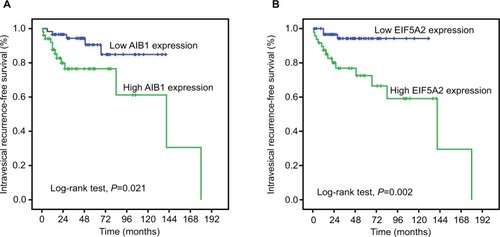 Figure 2 Kaplan–Meier plots show intravesical recurrence-free survival curves according to AIB1 expression status (A), low AIB1 expression (blue line), n=58; high AIB1 expression (green line), n=51. EIF5A2 expression status (B), low EIF5A2 expression (blue line), n=61; high EIF5A2 expression (green line), n=48.