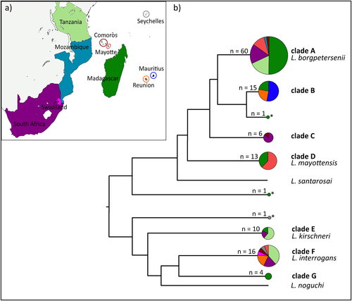 Fig. 1 Diversity and geographic distribution of Leptospira in terrestrial small mammals and bats of the western Indian Ocean islands and neighboring Africa.a Map of the sample locations. b Schematic representation of the Leptospira phylogenetic relationships based on the maximum-likelihood secY and rrs2 phylogenetic trees (details in Figures S1 and S2). Circle sizes are proportional to the number of samples included for each branch. Colors within the pie charts refer to the different countries as shown on the map. Samples denoted by an asterisk (*) refer to the sequences that could not be assigned to any clade