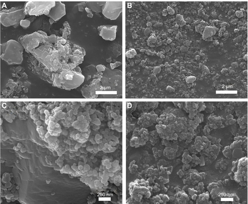 Figure S2 SEM images for the produced B-Cal (A, C) and N-Cal (B, D).Abbreviations: B-Cal, bulk calcium carbonates; N-Cal, nano calcium carbonates; SEM, scanning electron microscopy.