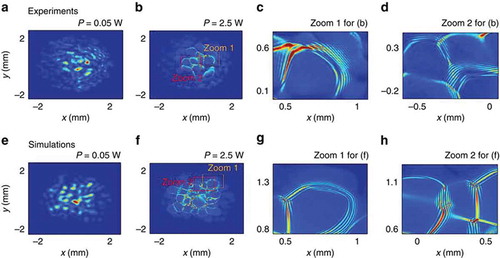 Figure 15. Experimental observation at short-range regime. (a, b) Experimental beam profiles of the output intensity recorded at power a P=0.05W, (b) P=2.50W. (c, d) Zooms on details of (b) that evidence the development of shocklets. (e, f) Numerical simulations of NLSE equation, and (g, h) corresponding zooms.Reprinted by permission from Macmillan Publishers Ltd. from [Citation39]. Copyright 2015.