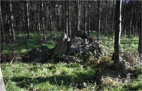 Figure 2. The small polygonal tomb of Anta Zaramaceda. Photograph Gail Higginbottom.