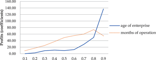 Figure 1. Profit distribution by enterprise age and number of months operated.