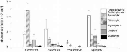 Fig. 5. Seasonal variations of the MPB abundances (cells × 106 cm−2) in the Solthörn tidal flat, including means (± SD) of the individual stations. Displayed are the Heterokontophyta (Bacillariophyceae), Cyanophyta, Chlorophyta, Euglenophyta, Dinophyta and Cryptophyta.