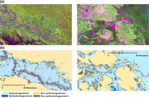 Figure 5. The map for agreement/disagreement for example inland wetlands in West Papua Province (centered at 138°59′30.02″ E 3°10′50.18″ S) on the left, and riparian wetlands in South Sumatra Province (centered at 103°26′20.4″ E 1°56′45.6″ N) on the right; for (a) Landsat image with 5–4–3 spectral band combination and (b) the wetlands/non-wetlands agreement and disagreement.