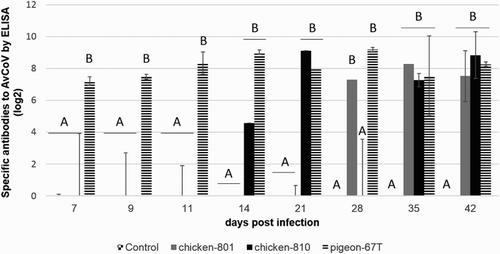 Figure 3. Humoral immune response induced in the control group, and in the chicken-801, chicken-810, and pigeon-67T groups after infection of day-old chickens, at different days post infection. The means ± standard deviation with no common letters differ significantly (P < 0.05).
