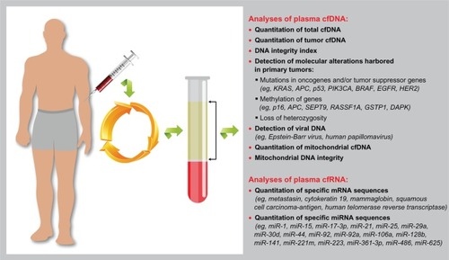 Figure 1 Graphic representation of the analyses of cell-free nucleic acid (cfNA) circulating in plasma that have been tested in cancer patients and that might serve as clinical markers.