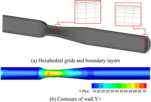 Figure 2. Discretization of the geometry model.